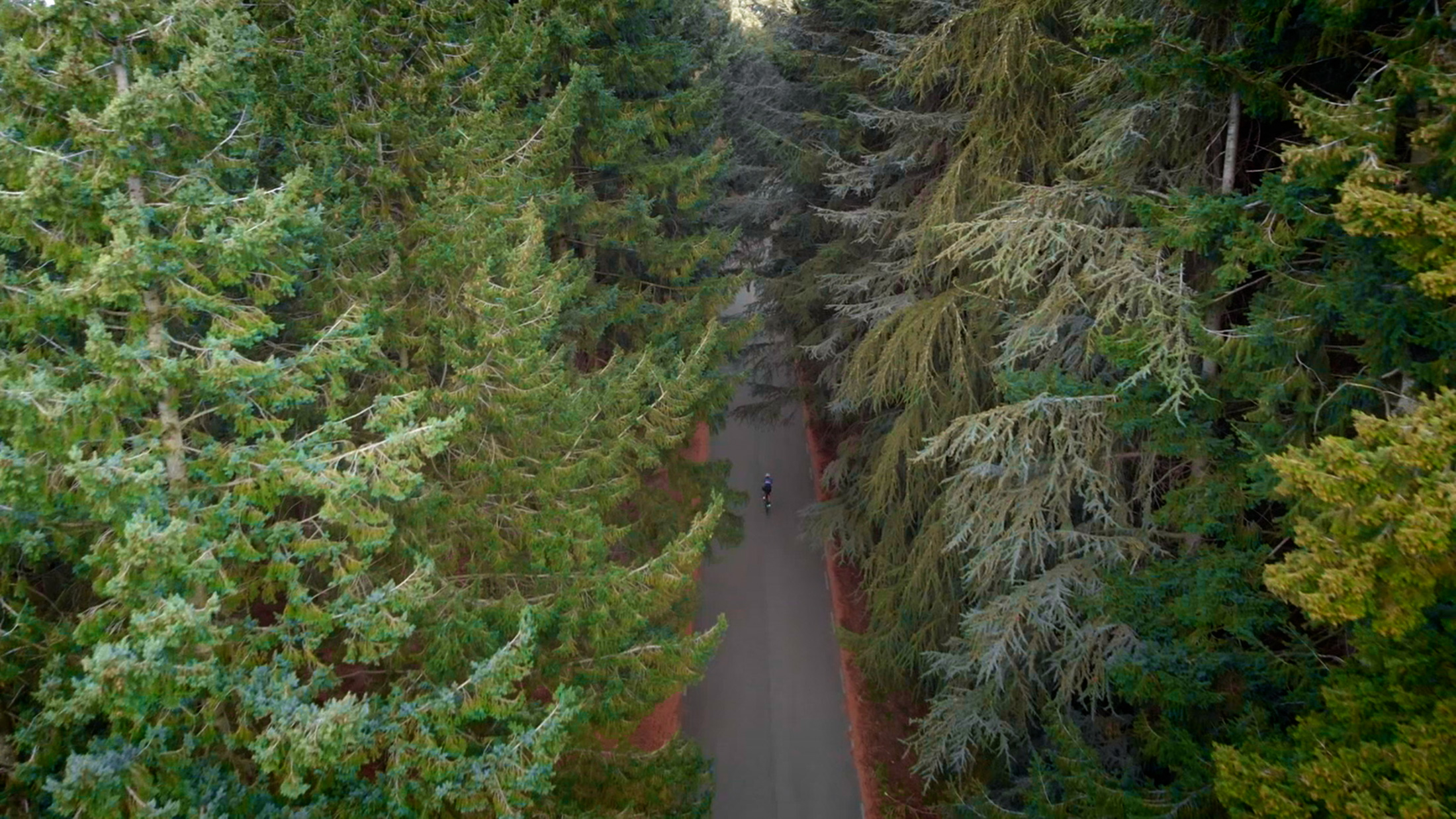 RIDE SOLO CICLISMO 2019